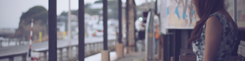 �y�J�i�K���f���^���z�C�������z���L���b�g�t�[�h���T�C�g